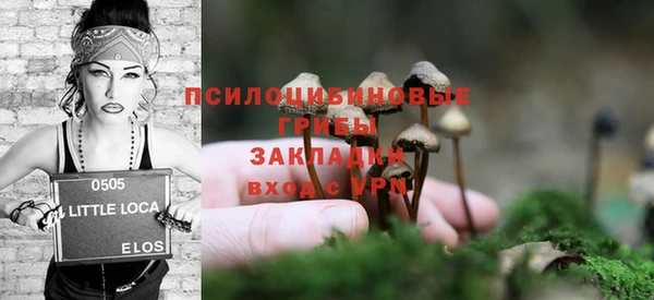 mix Богородицк