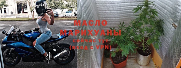 mix Богородицк
