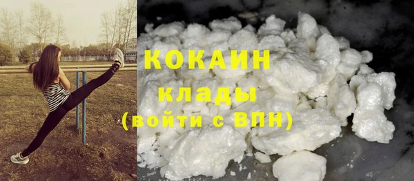 mix Богородицк