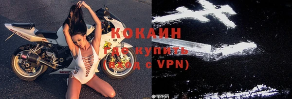 mix Богородицк