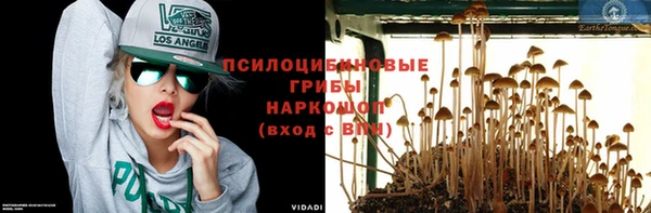 a pvp Богданович